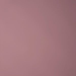 Meet your Posher, Bella